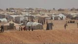 ООН активизировала работу по переселению сирийских беженцев из зоны Эт-Танф