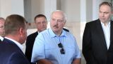 Лукашенко: Дальше субсидировать сельское хозяйство Белоруссии опасно