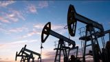 Новак не исключил повышения цен на нефть до $ 100 за баррель