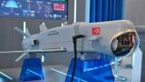 Турция представила крылатую ракету с ИИ, запускаемую с беспилотника
