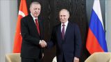 Путин и Эрдоган провели телефонный разговор
