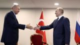 Эрдоган поднимет в Сочи вопросы турецкого миротворчества — СМИ