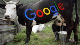 Google заплатил штраф 3 млн рублей за не до конца удаленный контент