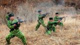 КНДР усилит военное присутствие на границе с Южной Кореей