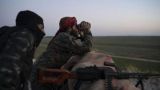 Боевики в Идлибе призвали на помощь сирийских алькаидовцев