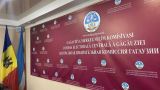 Гагаузия не может провести выборы — Кишинев блокировал создание местного ЦИК