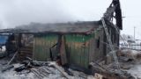Четверо детей погибли при пожаре в Алтайском крае