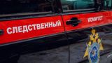 В Подмосковье убили дочь замминистра по строительству Сибатулина — СМИ