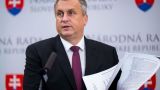 Словакия намерена заявить права на долю ископаемых Украины — TASR