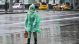 Гидрометцентр: 23 марта в Москве +6 градусов, дождь