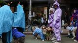 Авторы Homo occidentalis: Европа вымрет, повинуясь навязанной ментальности