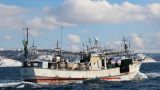 ФАС возбудила дело против Росрыболовства из-за квот на вылов рыбы