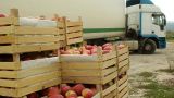 Молдавия усилит контроль за экспортом фруктов в Россию