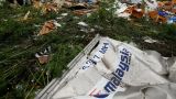 Суд по делу MH17 отмахнулся от документов, доказывающих невиновность России