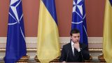 Зеленский заявил, что страны НАТО «боятся Россию»