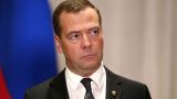 Медведев требует пресечь незаконную продажу насвая и снюса