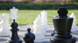 ФИДЕ добилась от МОК понимания по включению шахмат в программу Олимпиад