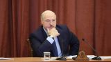 Лукашенко рассказал о своем взгляде на партийное строительство