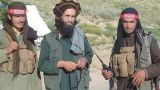 В Кабуле ликвидирован заместитель командующего «спецназом» талибов