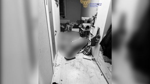 Актер театра в Подмосковье и его жена зарезали друг друга во время ссоры