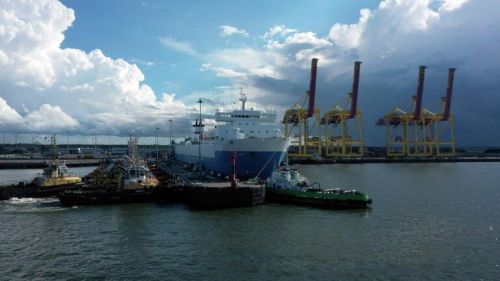 The port of Ust-Luga caught fire after a massive drone attack in the Leningrad region