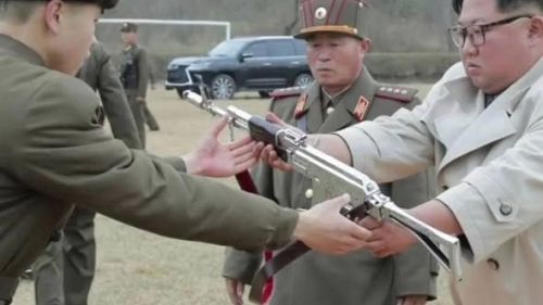 Not silver: what kind of weapon flashed the North Koreans on Red Square