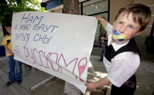 Иллюстрация dnr-pravda.ru Иллюстрация dnr-pravda.ru