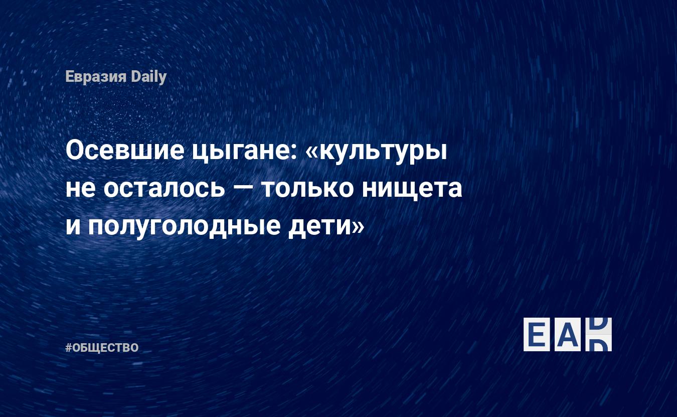 Осевшие цыгане: «культуры не осталось — только нищета и полуголодные дети»  — EADaily, 22 октября 2018 — Общество. Новости, Новости России