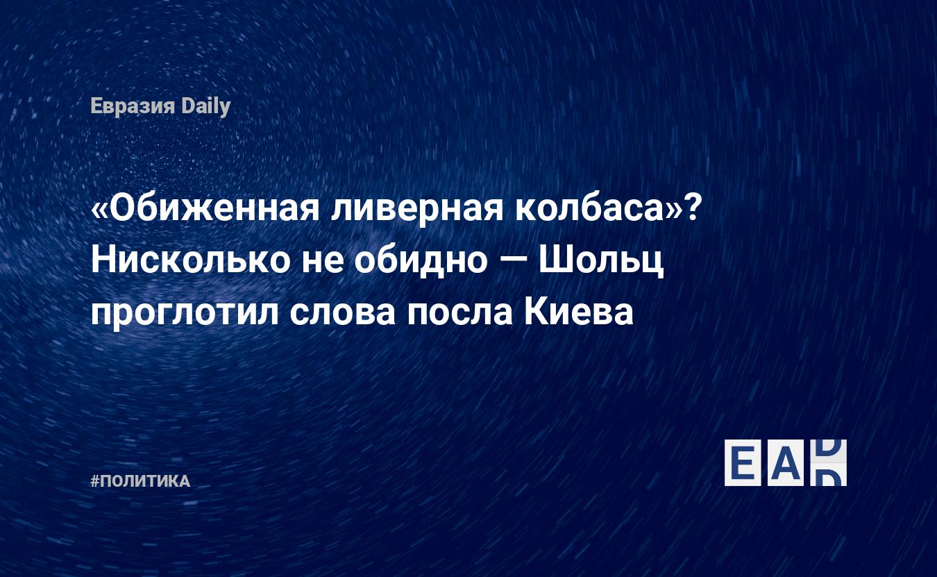 Корова подавилась слово появилось продолжение. Шольц канцлер ливерная колбаса.