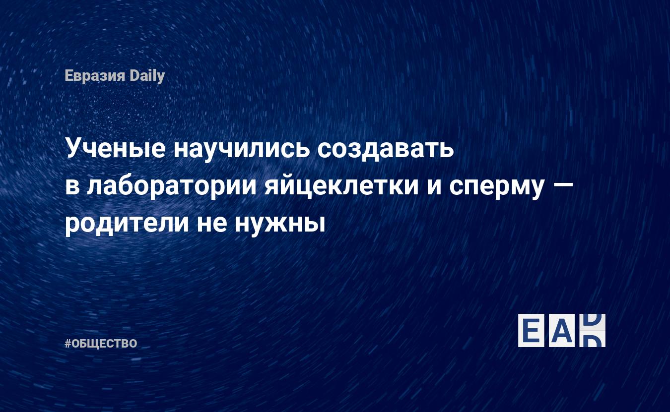 Ученые научились создавать в лаборатории яйцеклетки и сперму — родители не  нужны — EADaily — Ученые. Ученый. Наука. Ученые новости. Новости ученых.  Новости науки. Наука новости. Наука сегодня. Новости науки сегодня. Научные