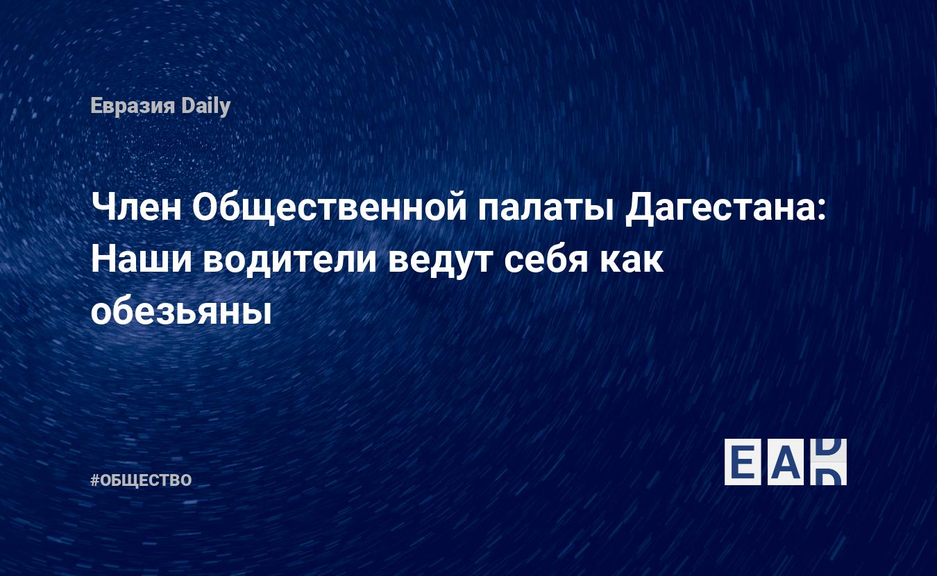 Член Общественной палаты Дагестана: Наши водители ведут себя как обезьяны —  EADaily, 17 января 2017 — Общество. Новости, Новости России