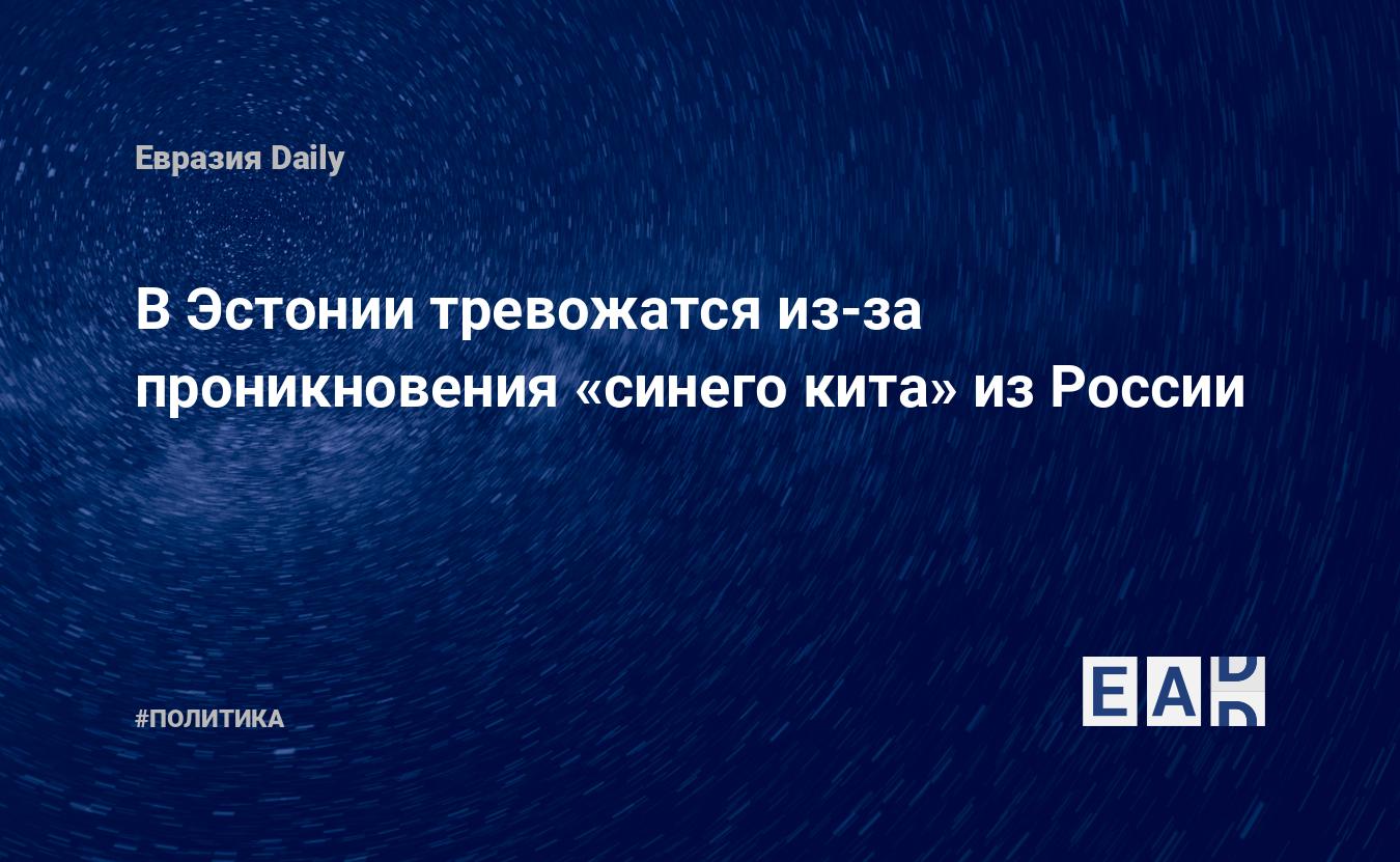 В Эстонии тревожатся из-за проникновения «синего кита» из России — EADaily,  11 апреля 2017 — Новости политики, Новости Европы