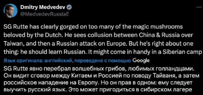 Переел грибов: Рютте стоит выучить русский, в сибирском лагере пригодится — Медведев