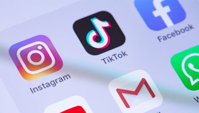 TikTok попросил у Instagram и Facebook помощи в борьбе с властями США