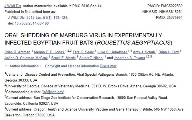Биологи США много лет заражают вирусами летучих мышей для экспериментов