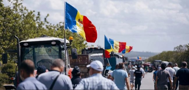 «Земля выжжена, урожай погиб»: молдавские аграрии брошены Санду на произвол судьбы